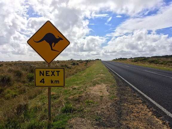 Recorriendo la Great Ocean Road