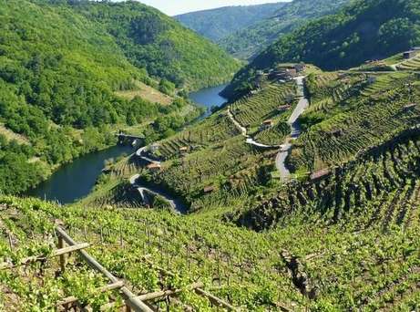 La viticultura heroica en la Ribeira Sacra