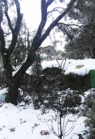 Invierno, invierno