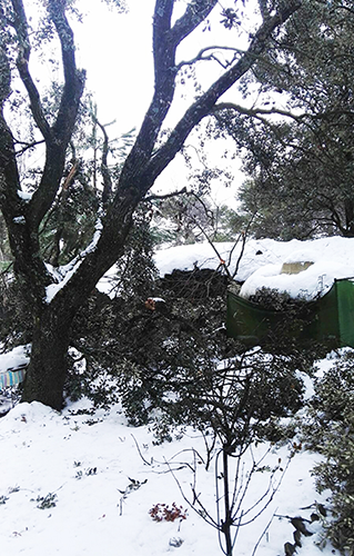 Invierno, invierno