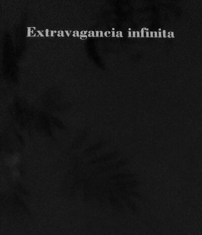 ‘Extravagancia infinita’ de Javier Olalde