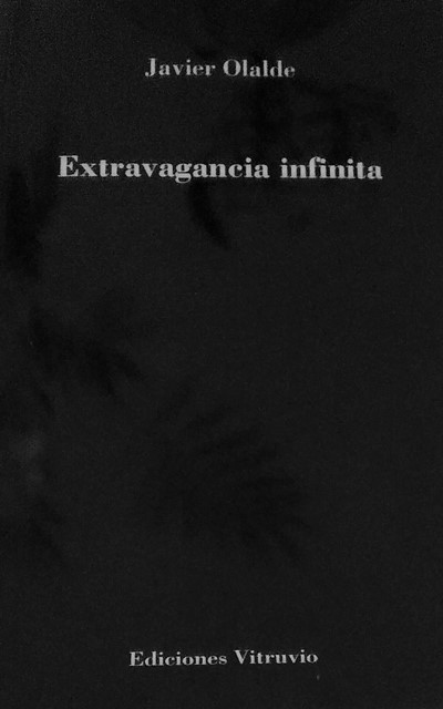 ‘Extravagancia infinita’ de Javier Olalde