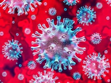 El coronavirus: un miedo histérico colectivo inducido