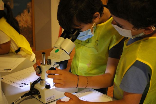 Cajal, los anfibios y los ODS protagonizan la Semana de la Ciencia y la Tecnología en el MNCN