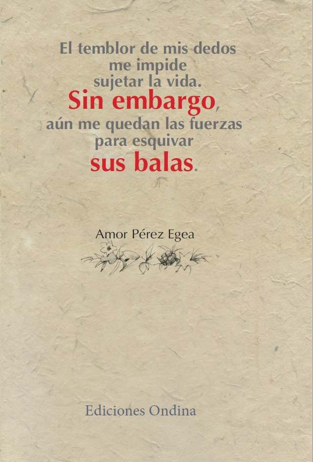 ‘Sin embargo, sus balas’ de Amor Pérez Egea