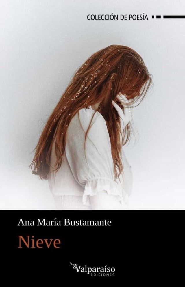 ‘Nieve’ de Ana María Bustamante