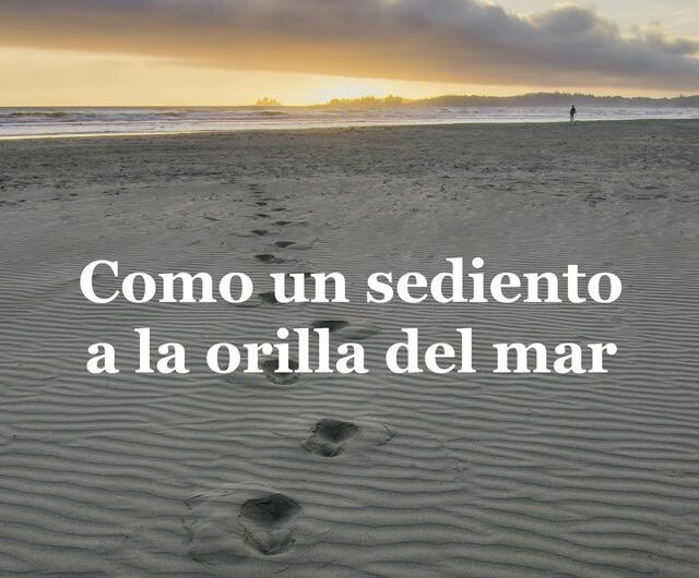 ‘Como un sediento a la orilla del mar’ de Elena Muñoz