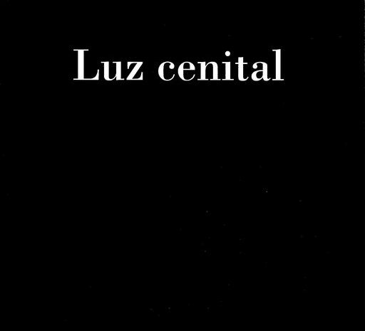 ‘Luz cenital’ de Rafael Talavera