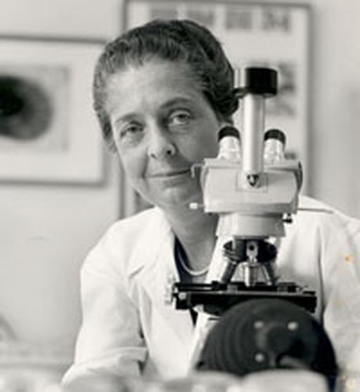 Rita Levi-Montalcini: una mujer valiente en la vida