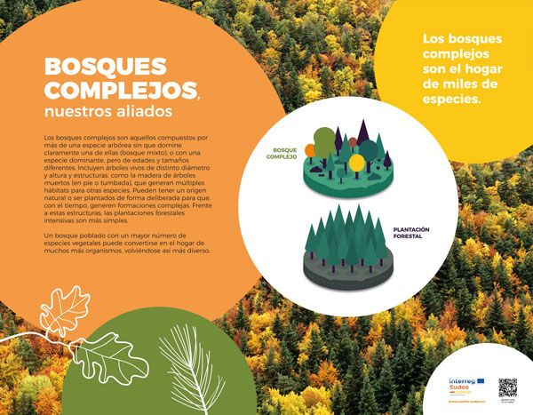 La exposición ‘Bosques complejos, nuestros aliados’ describe las aportaciones de estos ecosistemas a la biodiversidad