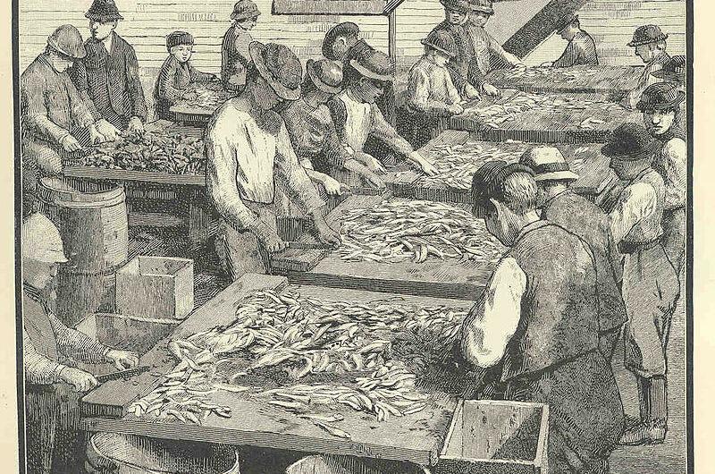 El trabajo infantil en el mar en los años veinte