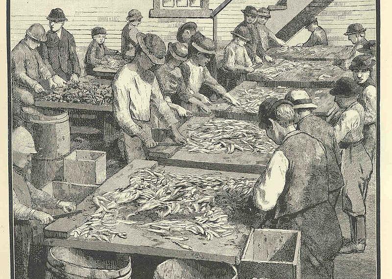 El trabajo infantil en el mar en los años veinte