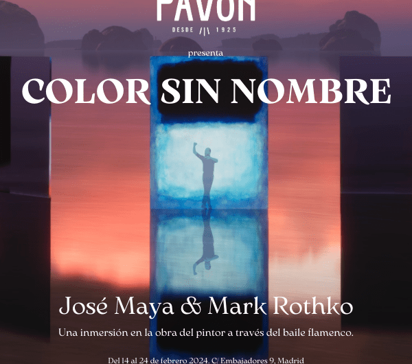 ‘Color sin nombre’, del bailaor José Maya, en el Teatro Pavón de Madrid. Hasta el 24 de febrero