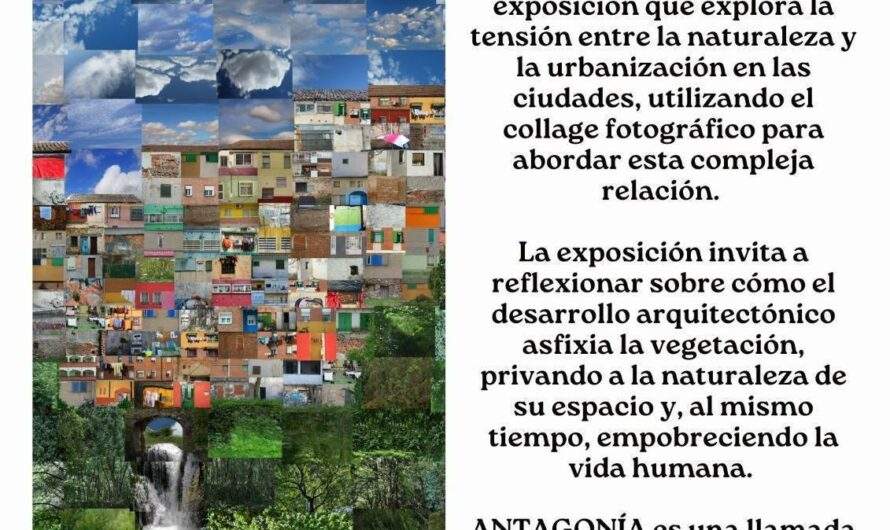 ‘Antagonía’, exposición de Javier Rego. Soria, a partir del 7 de septiembre