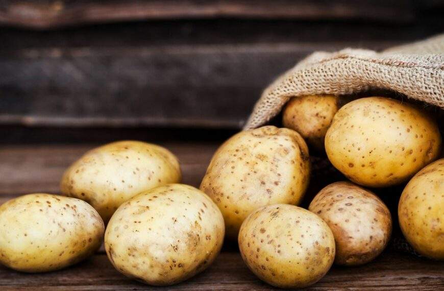 Parmentier o la importancia de la patata