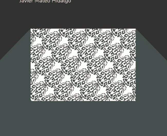 Presentación del poemario ‘Novela’, de Javier Mateo Hidalgo. Madrid, 29 de noviembre