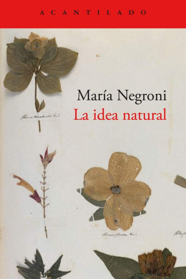 ‘La idea natural’, de María Negroni 