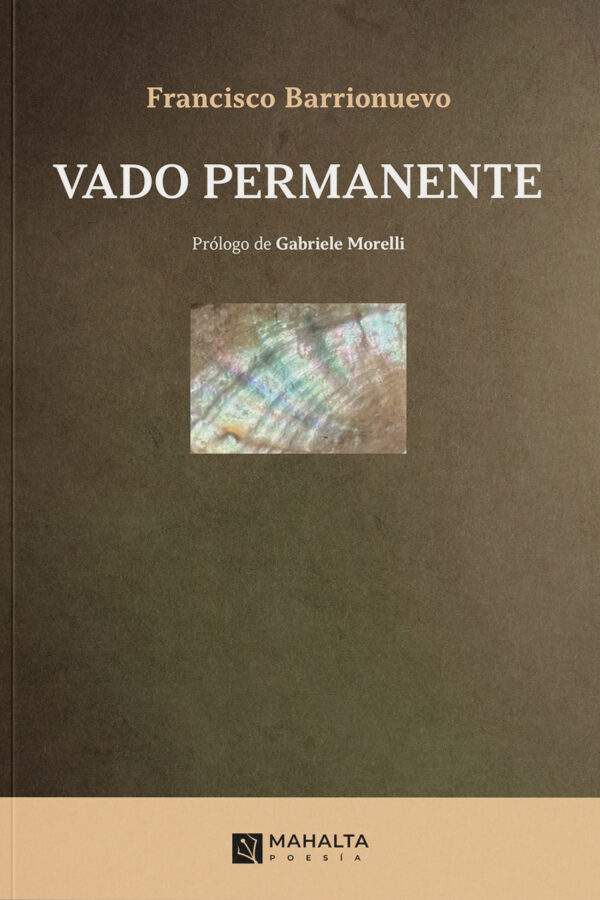 ‘Vado permanente’, de Francisco Barrionuevo
