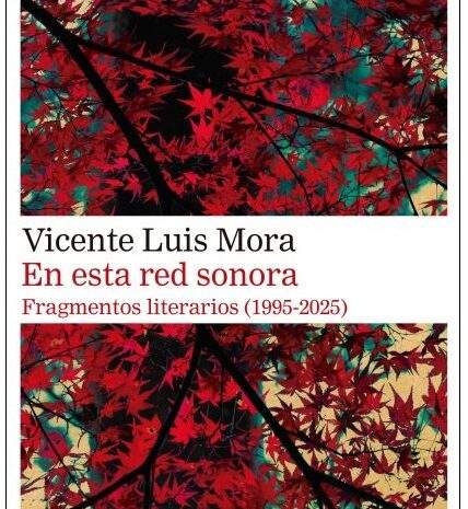 ‘En esta red sonora’, de Vicente Luis Mora
