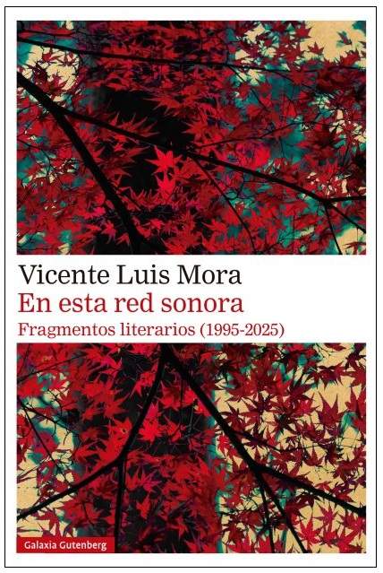 ‘En esta red sonora’, de Vicente Luis Mora