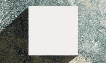 El silencio y la sombra