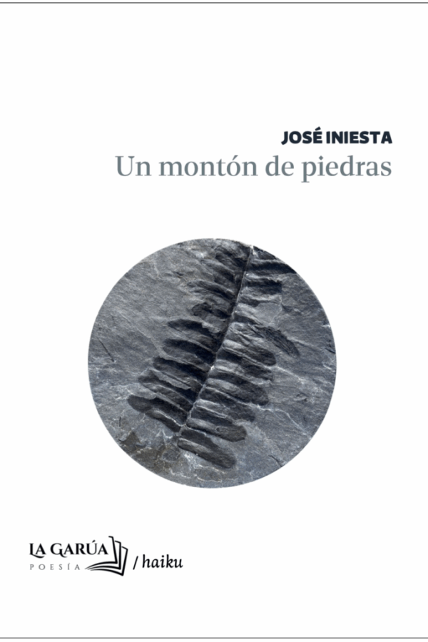 ‘Un montón de piedras’, de José Iniesta