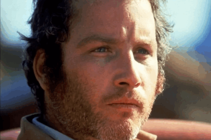 Richard Dreyfuss, lo que pudo haber sido y no fue