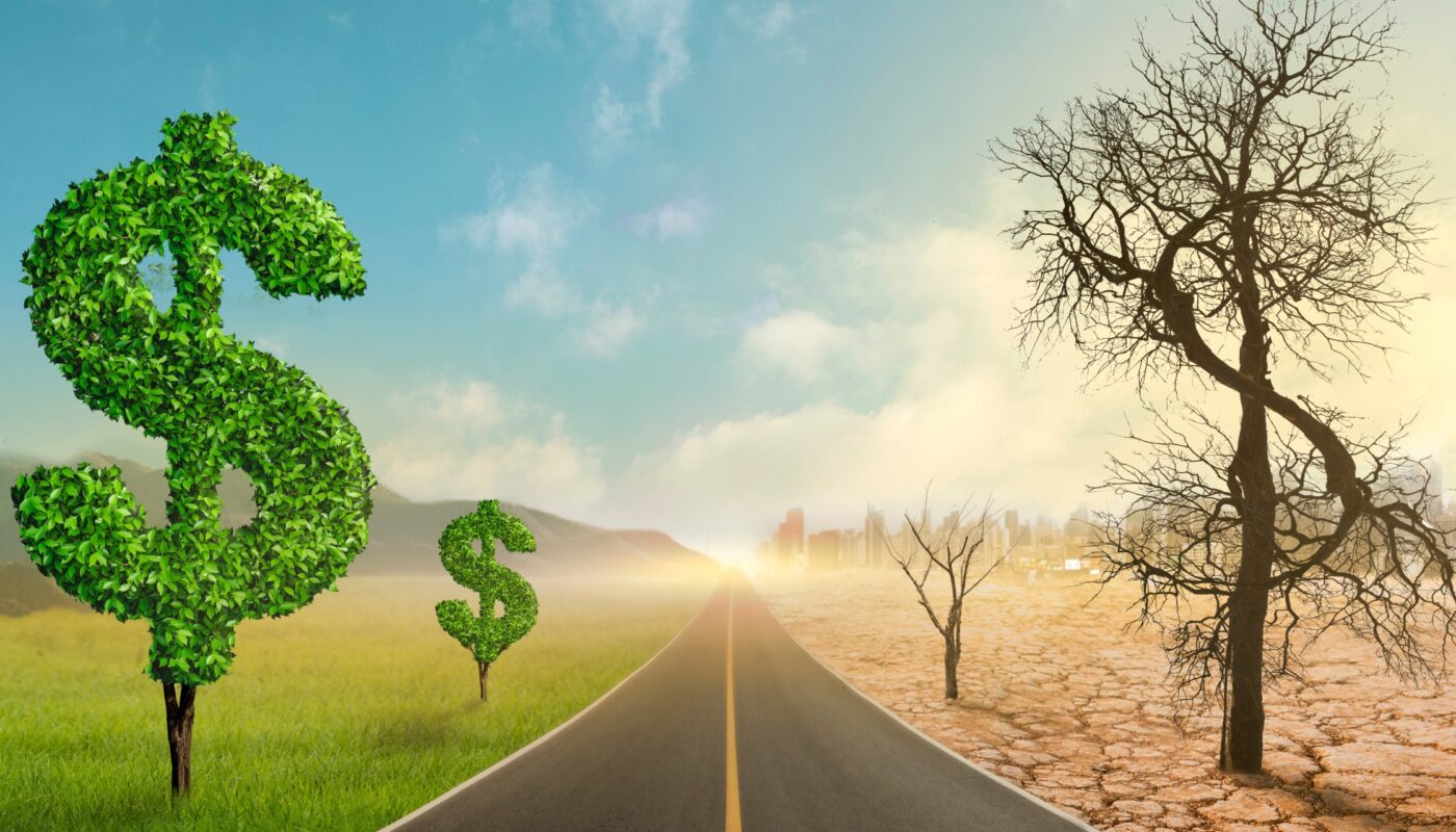 The Literary Grounds of Capitalism