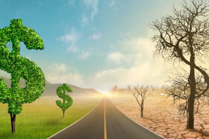 The Literary Grounds of Capitalism