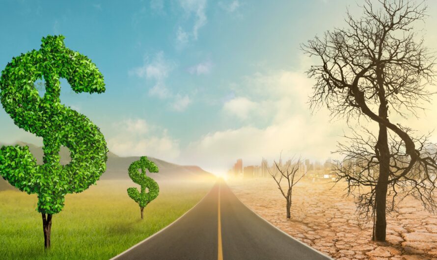 The Literary Grounds of Capitalism