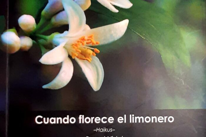 ‘Cuando florece el limonero’, de Bernat Vidal