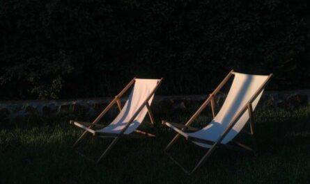 EL ECO Y SU SOMBRA / Una moneda