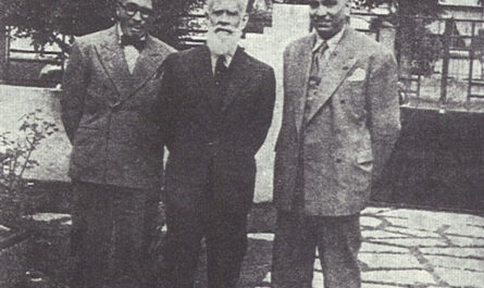 El Ayuntamiento socialista vienés y la restauración artística