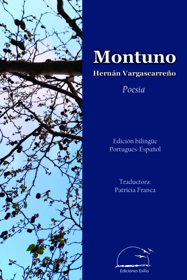 ‘Montuno’, de Hernán Vargascarreño
