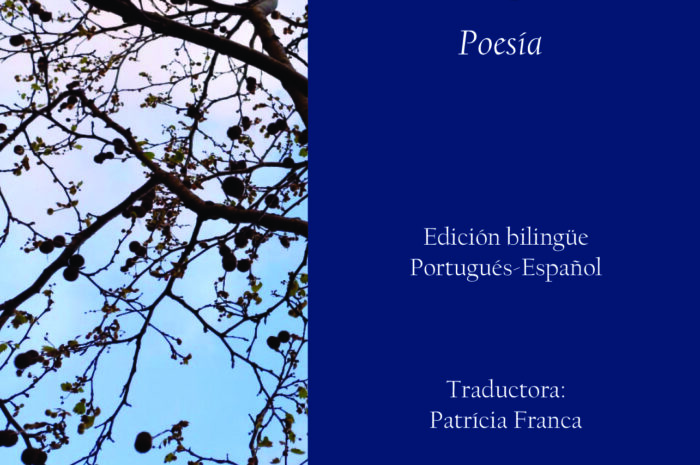 ‘Montuno’, de Hernán Vargascarreño