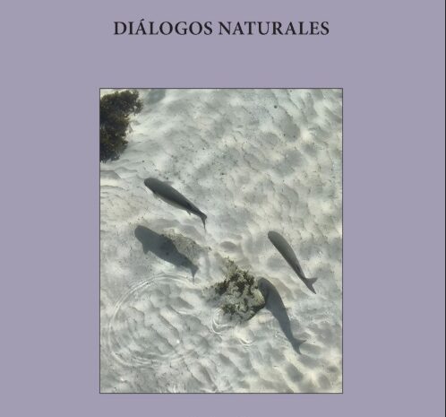 Presentación del libro ‘Diálogos naturales’, de Ricardo Martínez-Conde. Ateneo de Madrid, 16 de diciembre