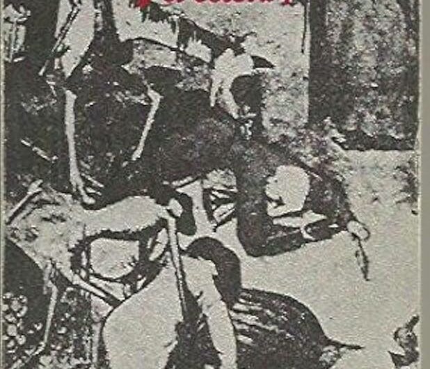Entre la peste y el cólera