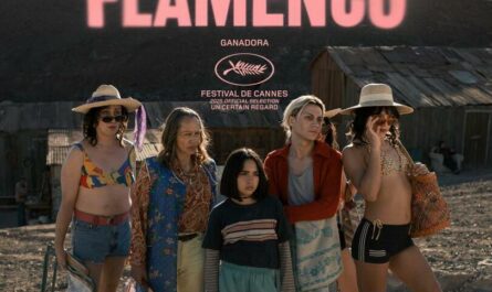 ‘La misteriosa mirada del flamenco’