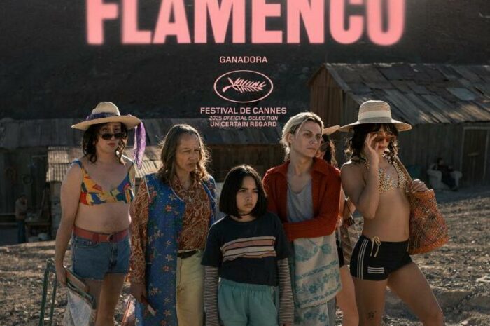 ‘La misteriosa mirada del flamenco’