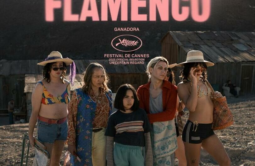 ‘La misteriosa mirada del flamenco’