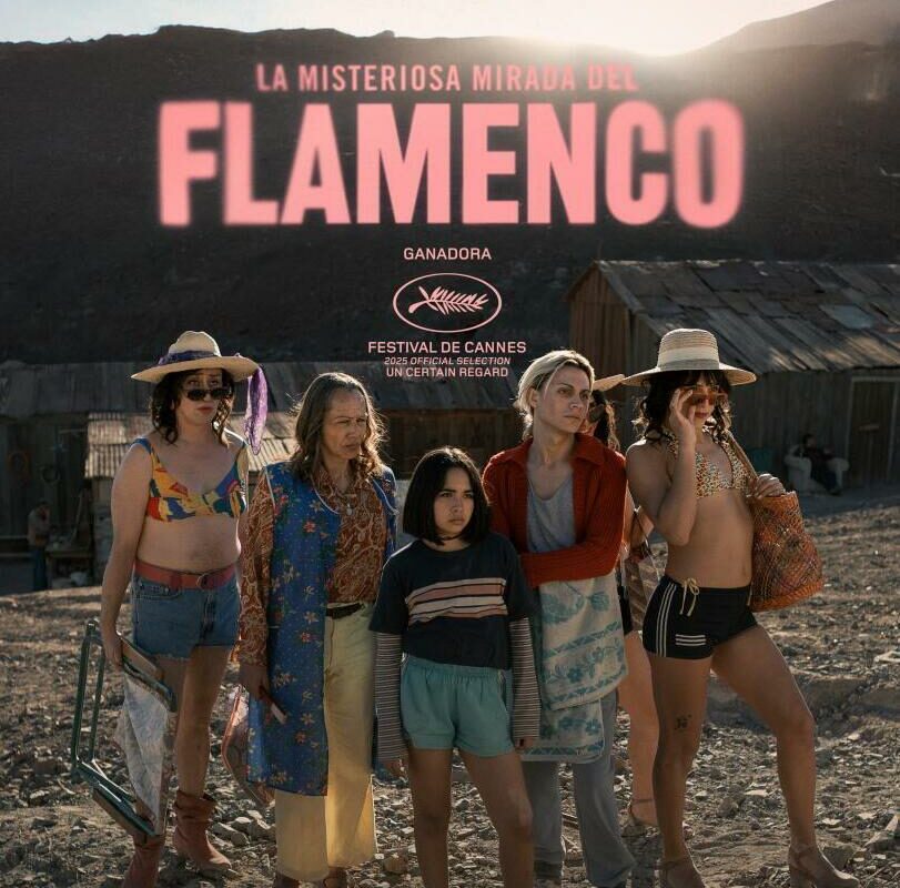 ‘La misteriosa mirada del flamenco’