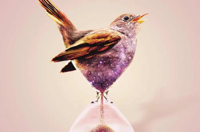 ‘Cantar el infinito’, de Irene de Juan Bernabéu