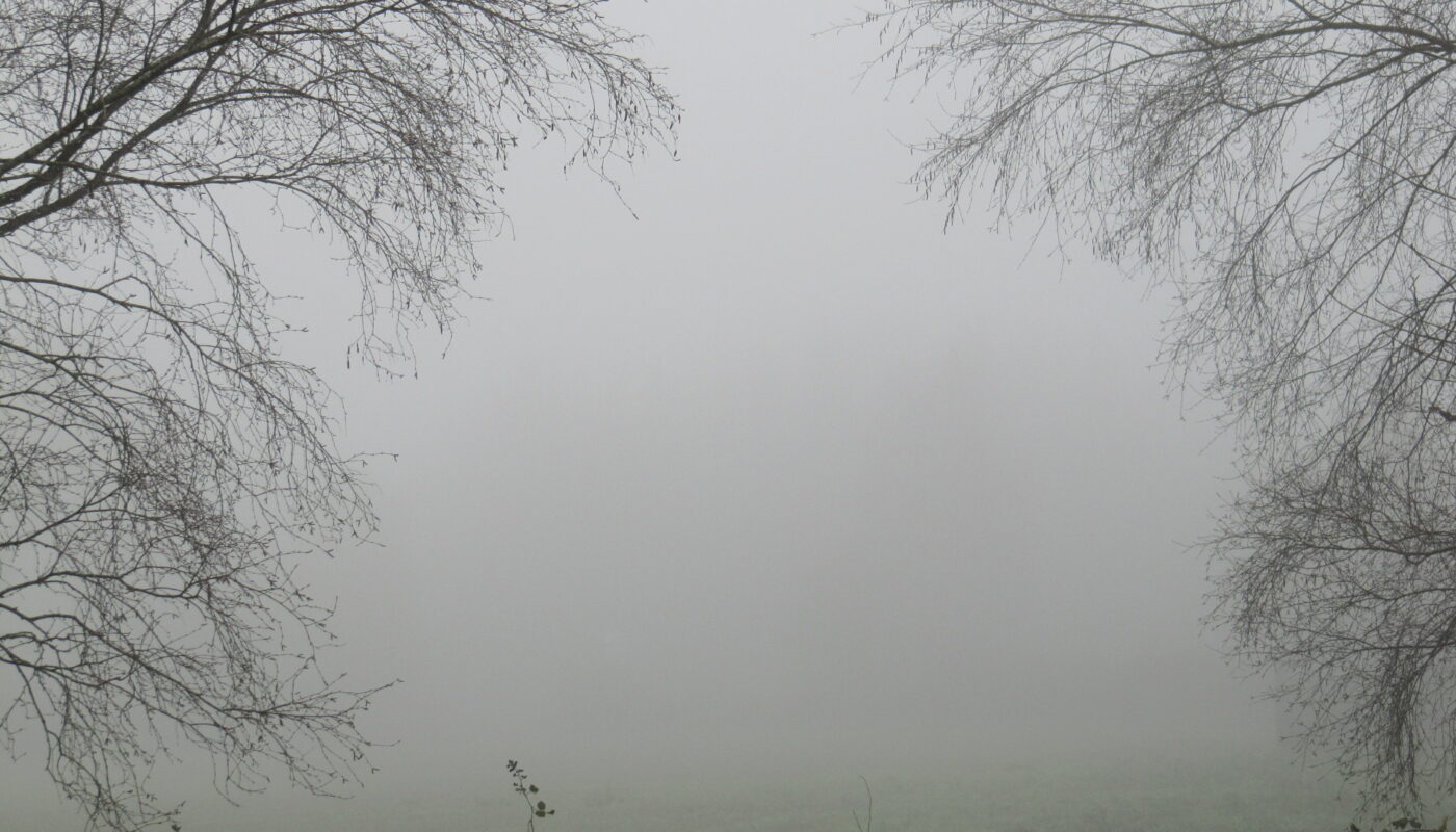 Ricardo Martínez-Conde – Cuaderno de bitácora. Vols. I-IV  