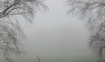 Ricardo Martínez-Conde – Cuaderno de bitácora. Vols. I-IV  