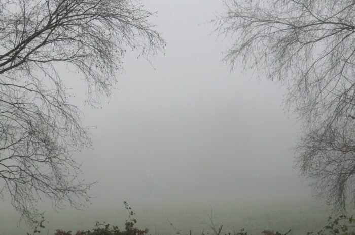 Ricardo Martínez-Conde – Cuaderno de bitácora. Vols. I-IV  