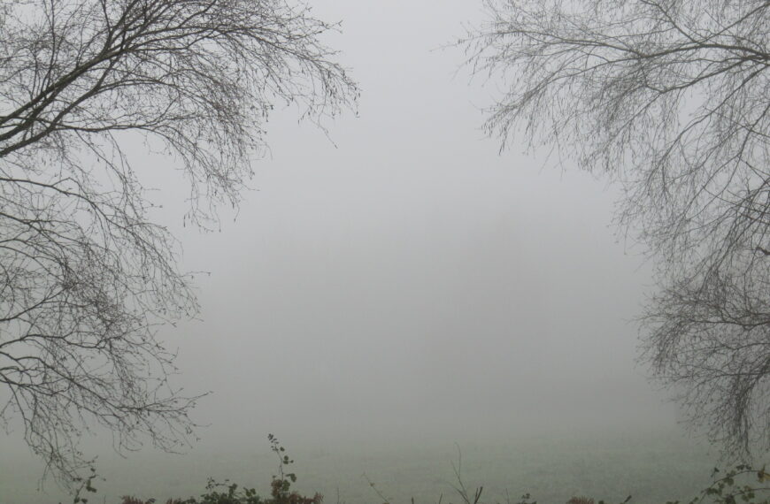 Ricardo Martínez-Conde – Cuaderno de bitácora. Vols. I-IV