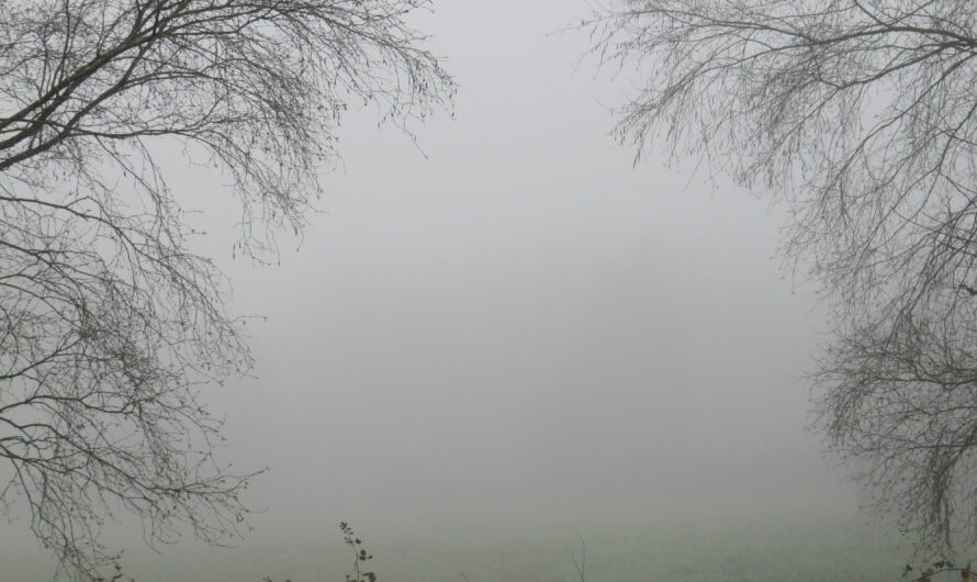 Ricardo Martínez-Conde – Cuaderno de bitácora. Vols. I-IV  