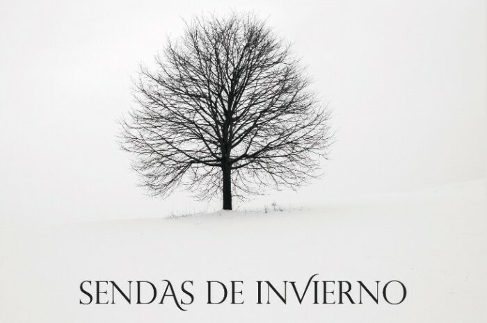 ‘Sendas de invierno’, de Fulgencio Martínez