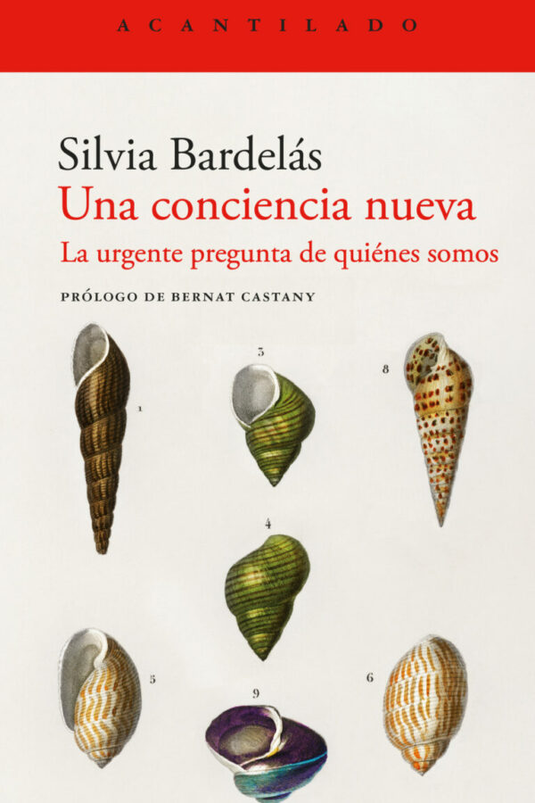 ‘Una conciencia nueva. La urgente pregunta de quiénes somos’, de Silvia Bardelás