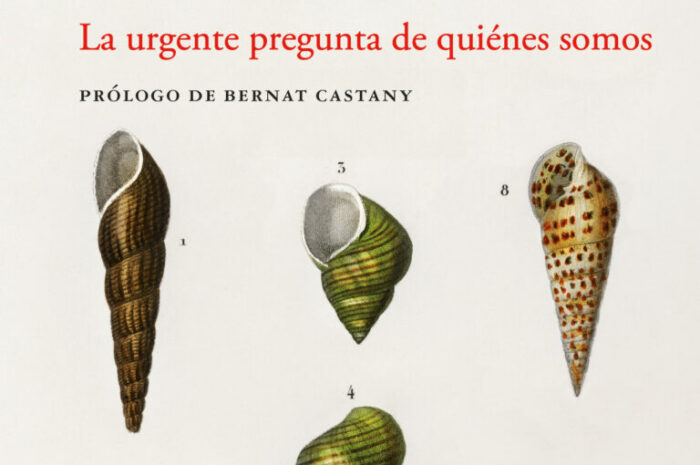 ‘Una conciencia nueva. La urgente pregunta de quiénes somos’, de Silvia Bardelás